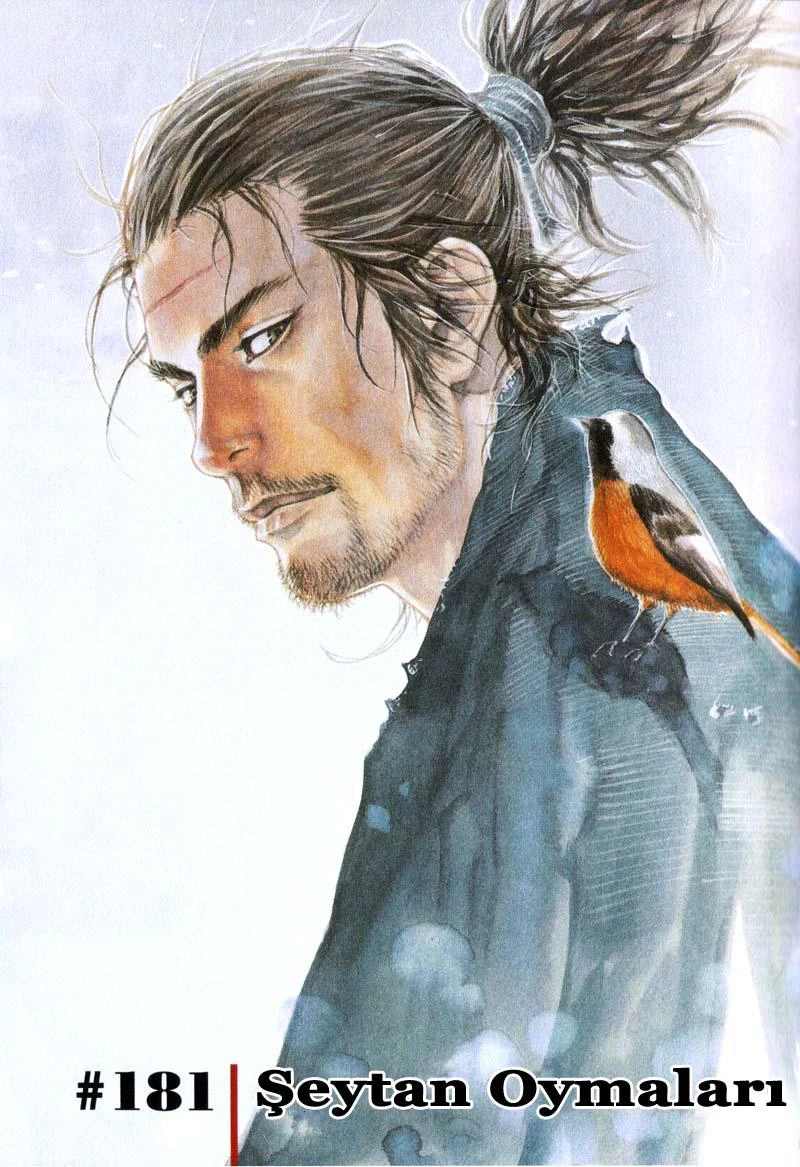 Read Vagabond TR Manga Online