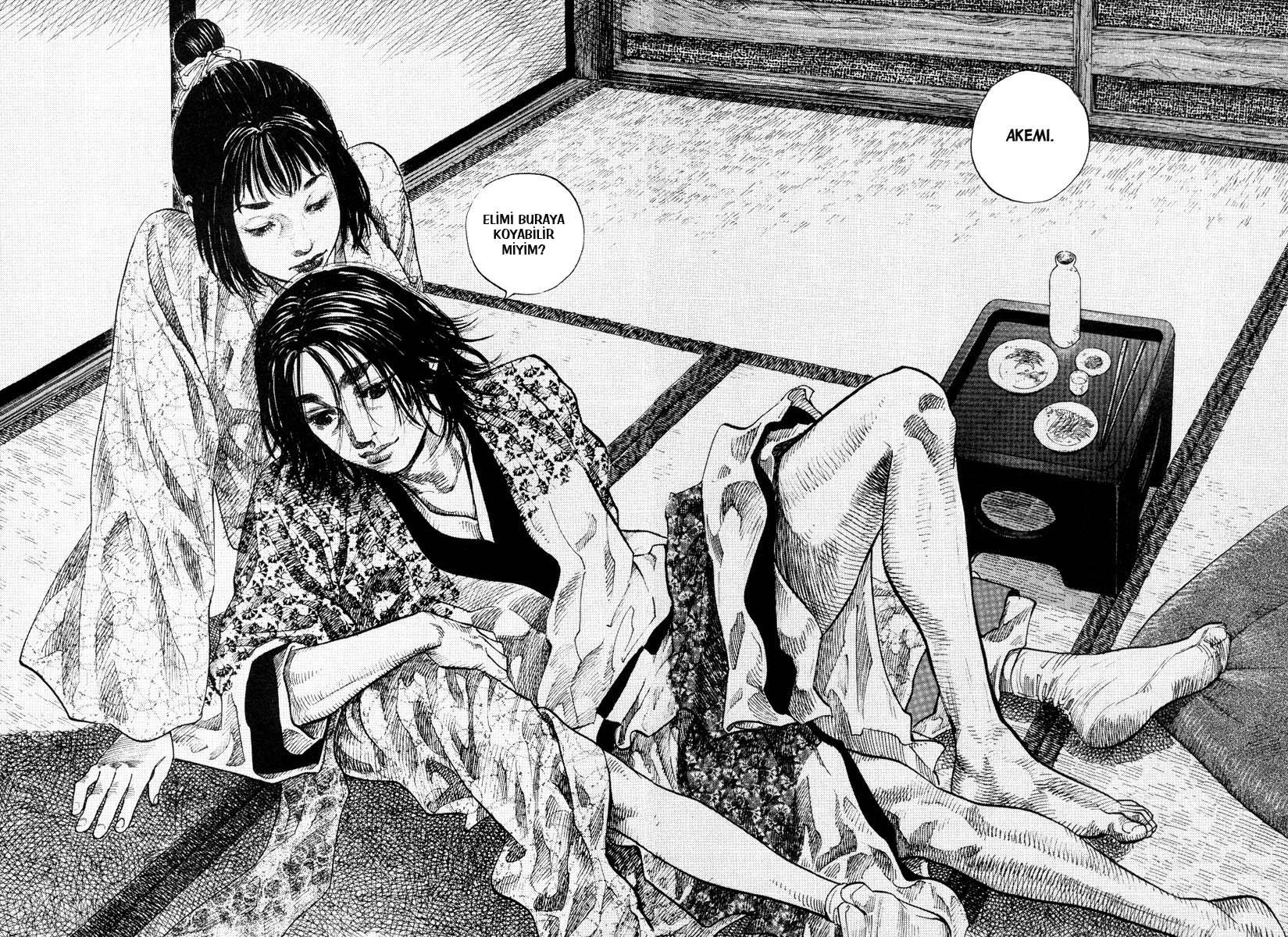 Read Vagabond TR Manga Online