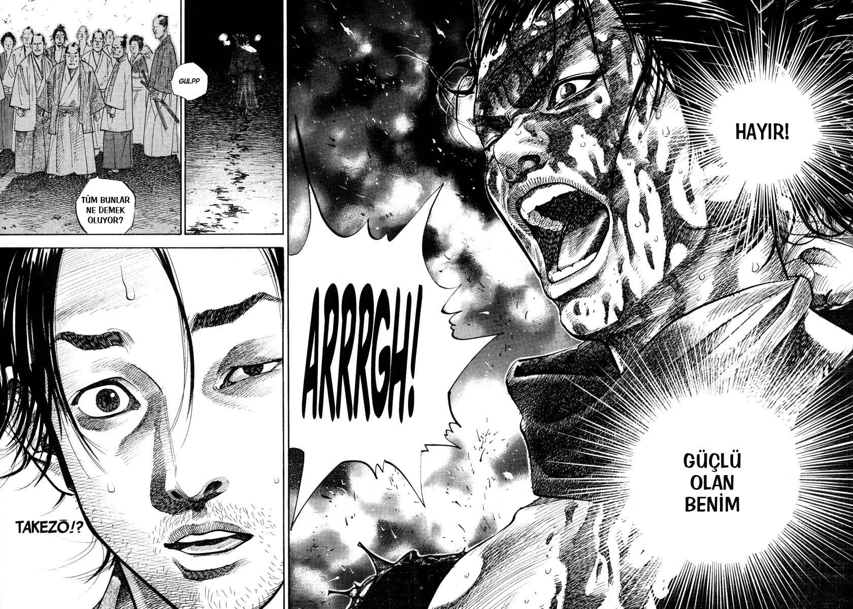 Read Vagabond TR Manga Online
