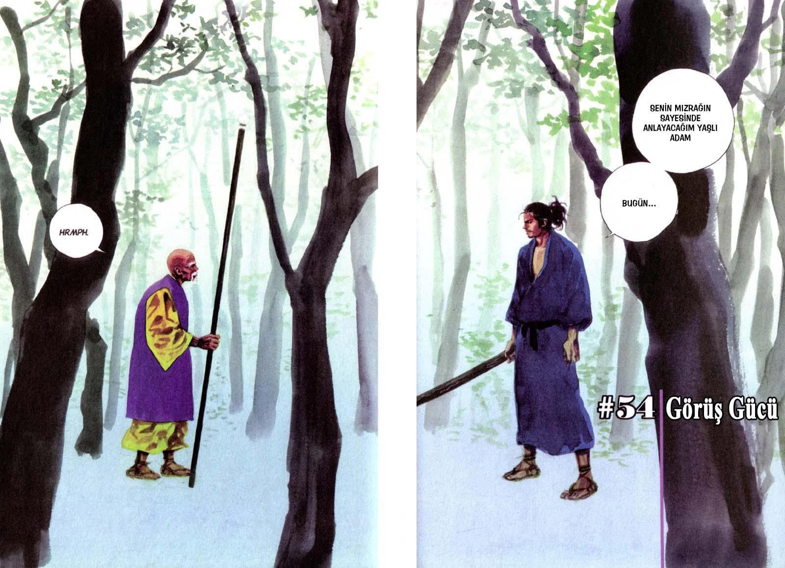 Read Vagabond TR Manga Online