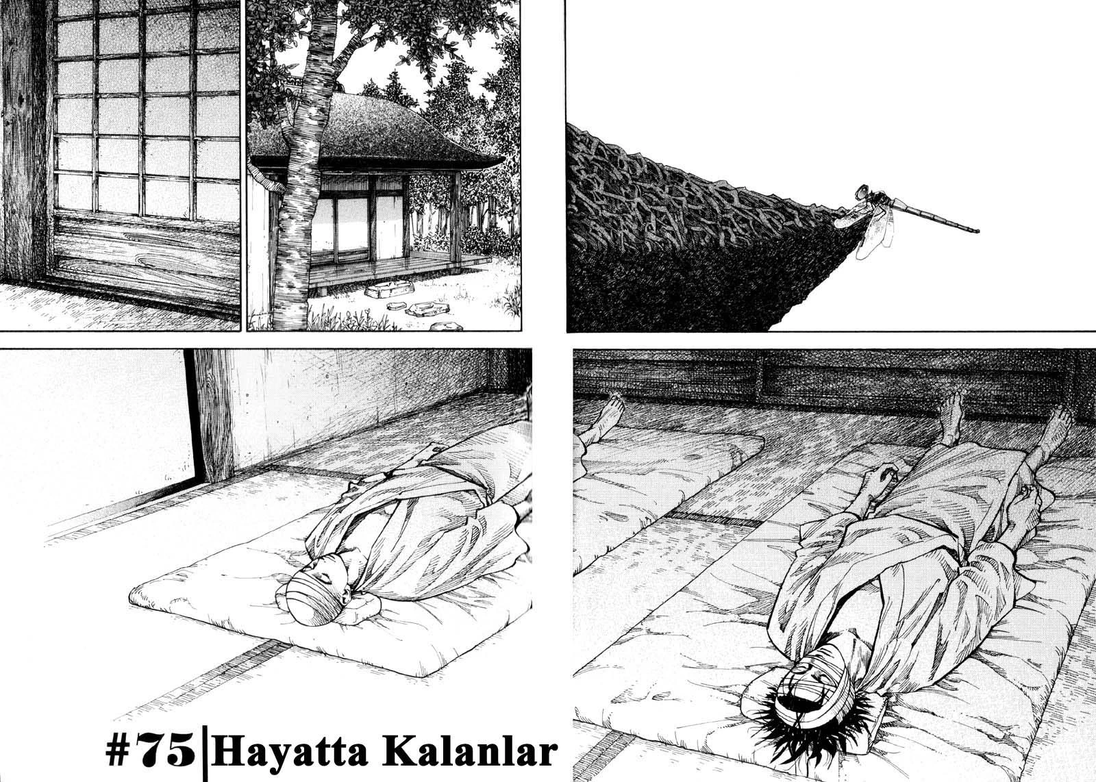 Read Vagabond TR Manga Online
