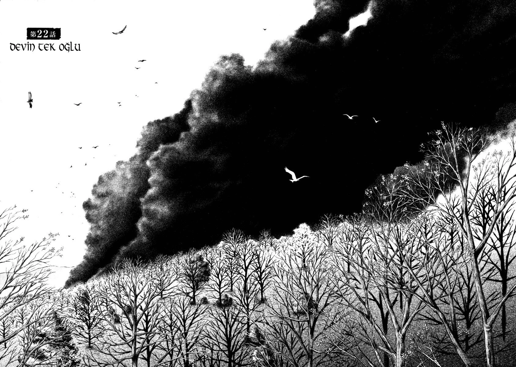 Read Vinland Saga TR Manga Online