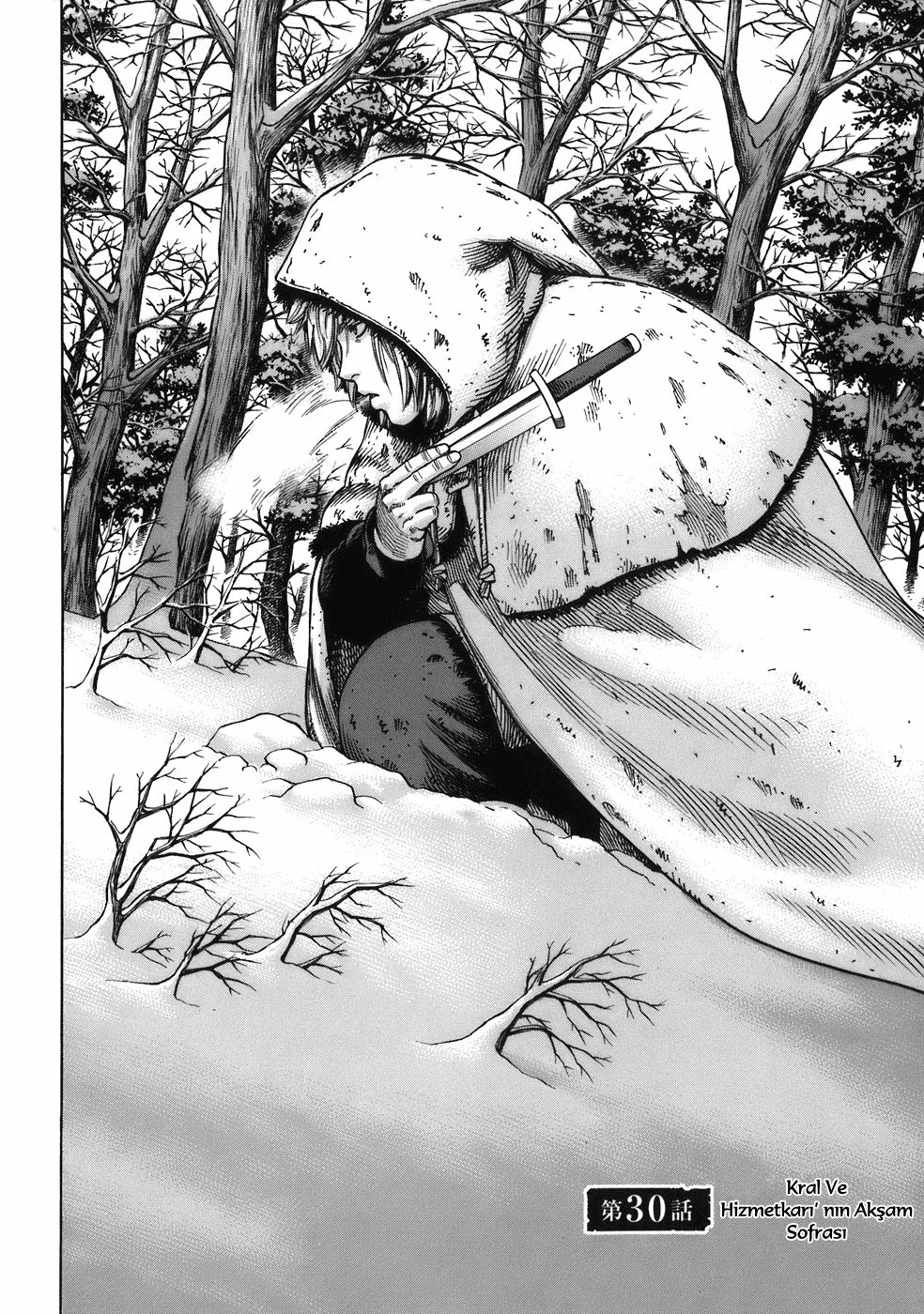 Read Vinland Saga TR Manga Online