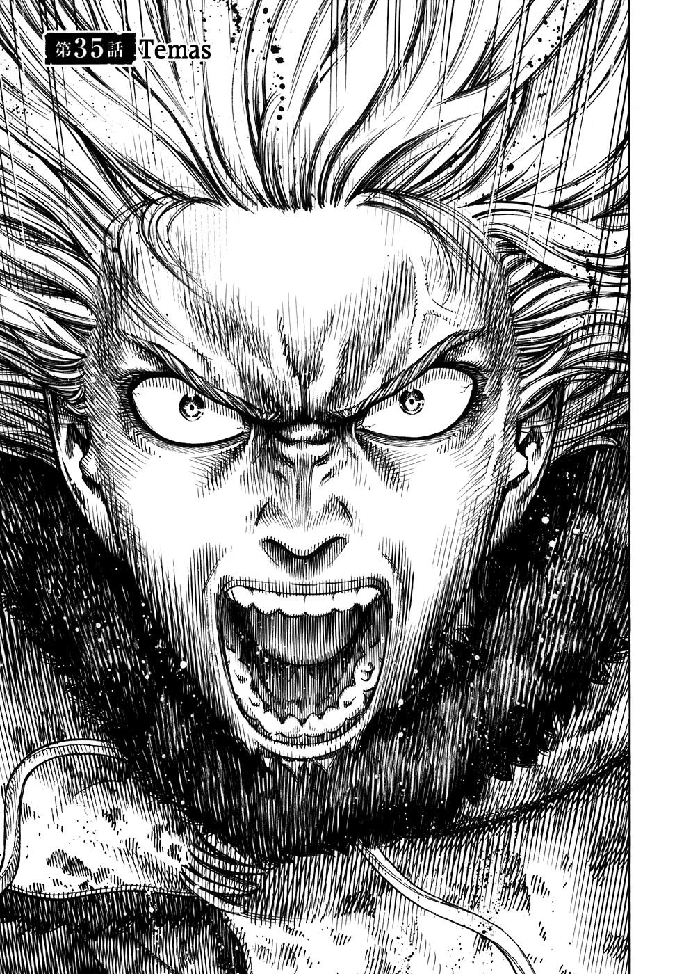 Read Vinland Saga TR Manga Online