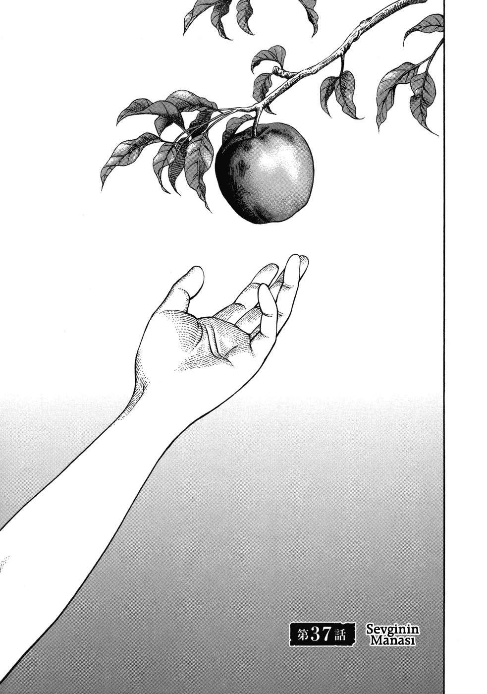 Read Vinland Saga TR Manga Online