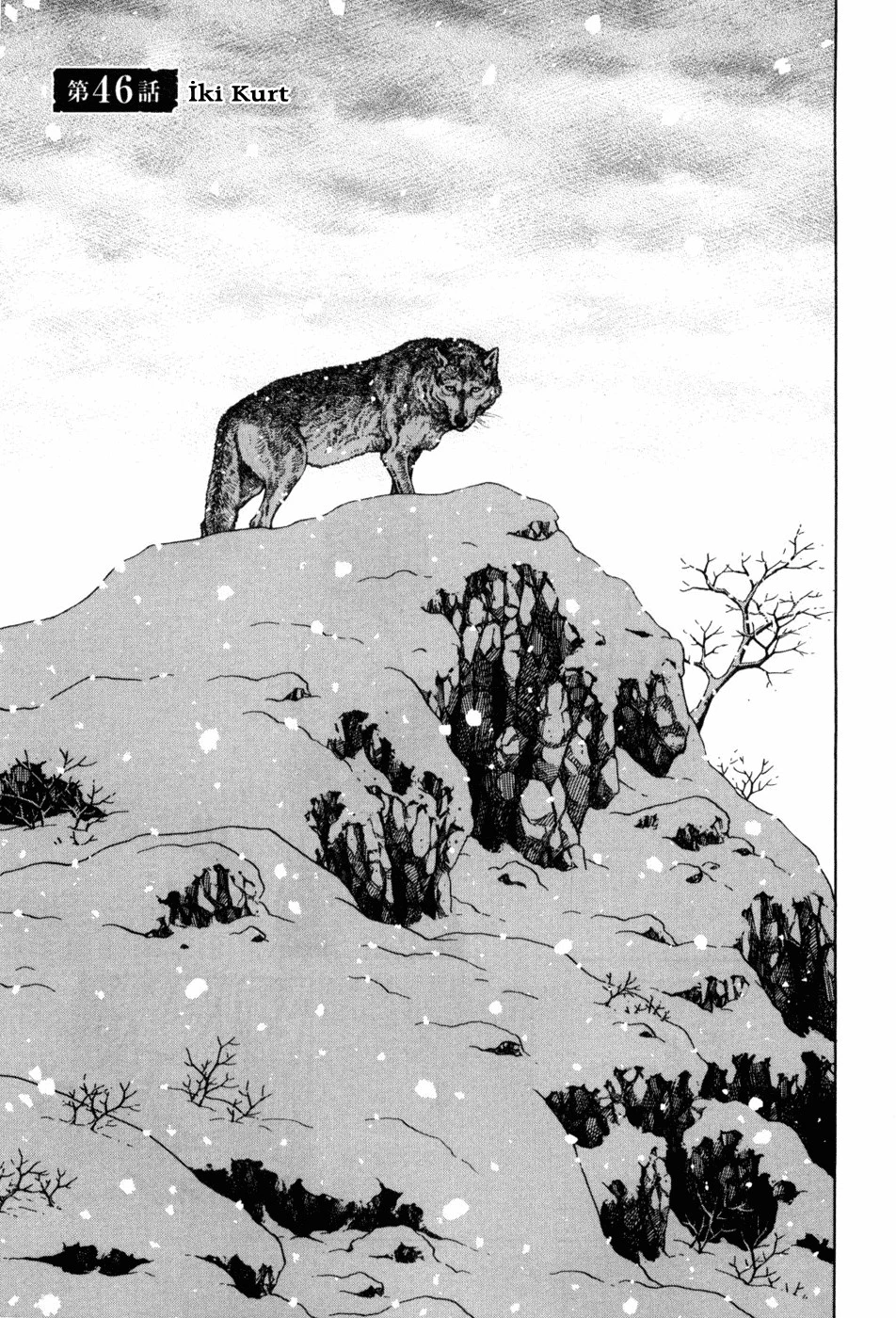 Read Vinland Saga TR Manga Online