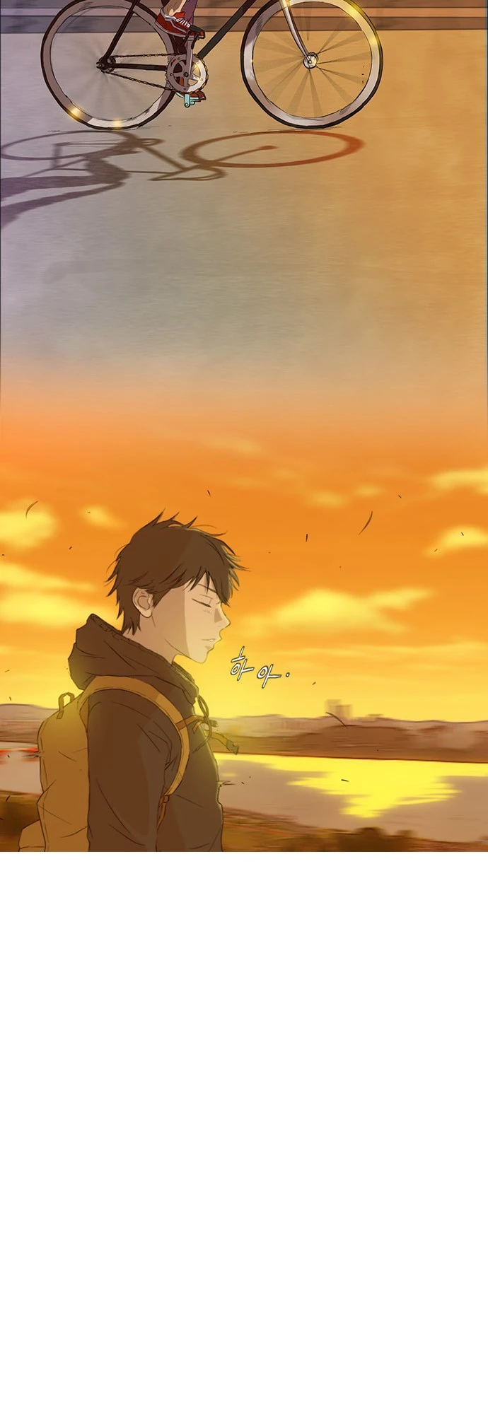 Read Wind Breaker TR Manga Online