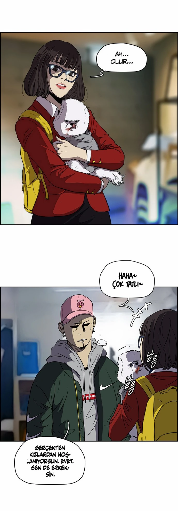 Read Wind Breaker TR Manga Online