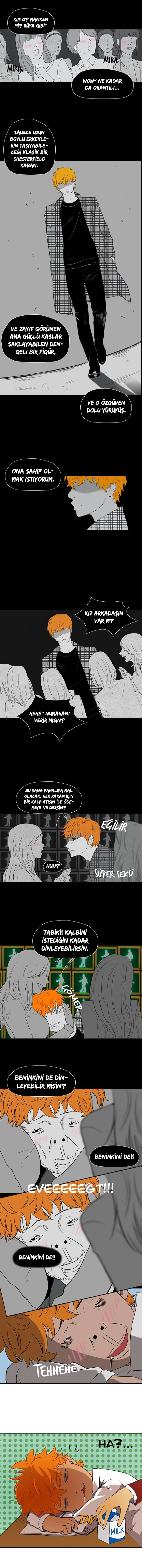 Read Wind Breaker TR Manga Online