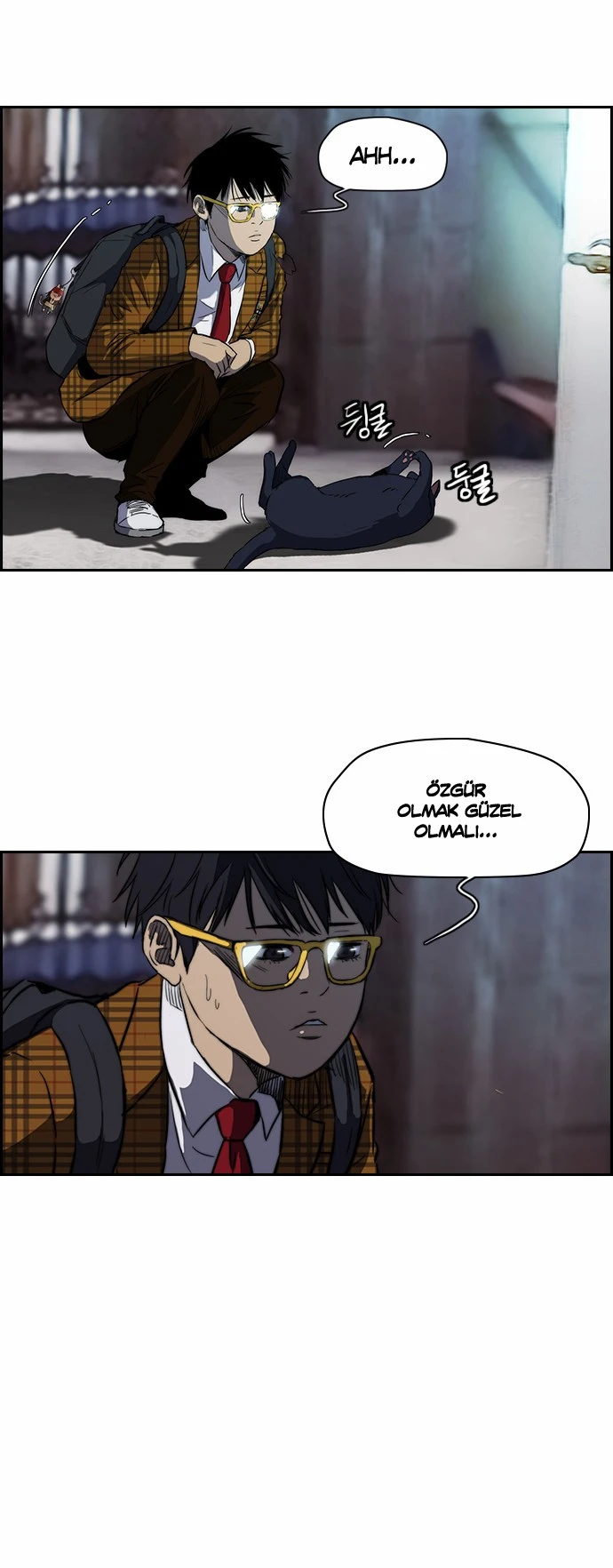 Read Wind Breaker TR Manga Online