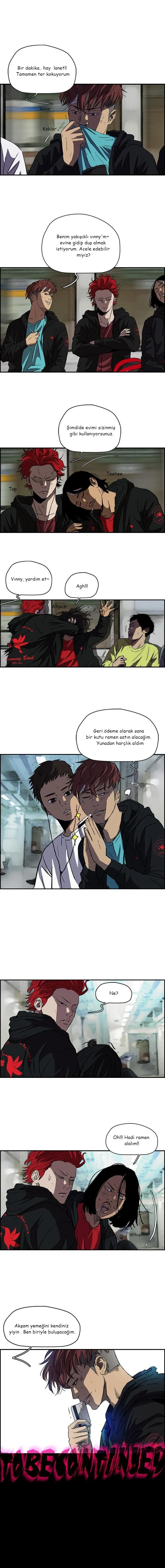 Read Wind Breaker TR Manga Online