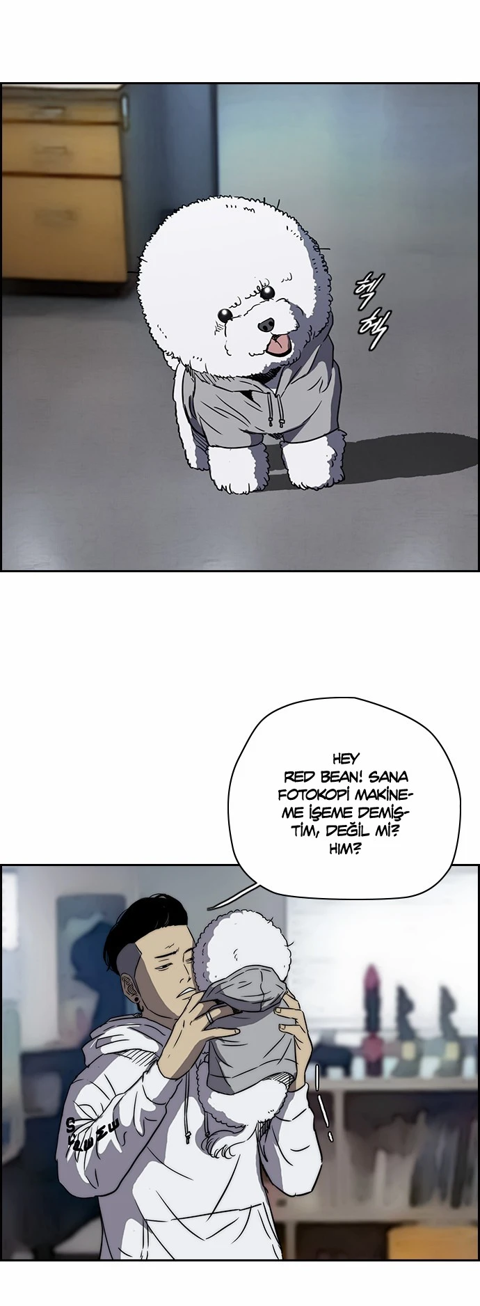 Read Wind Breaker TR Manga Online