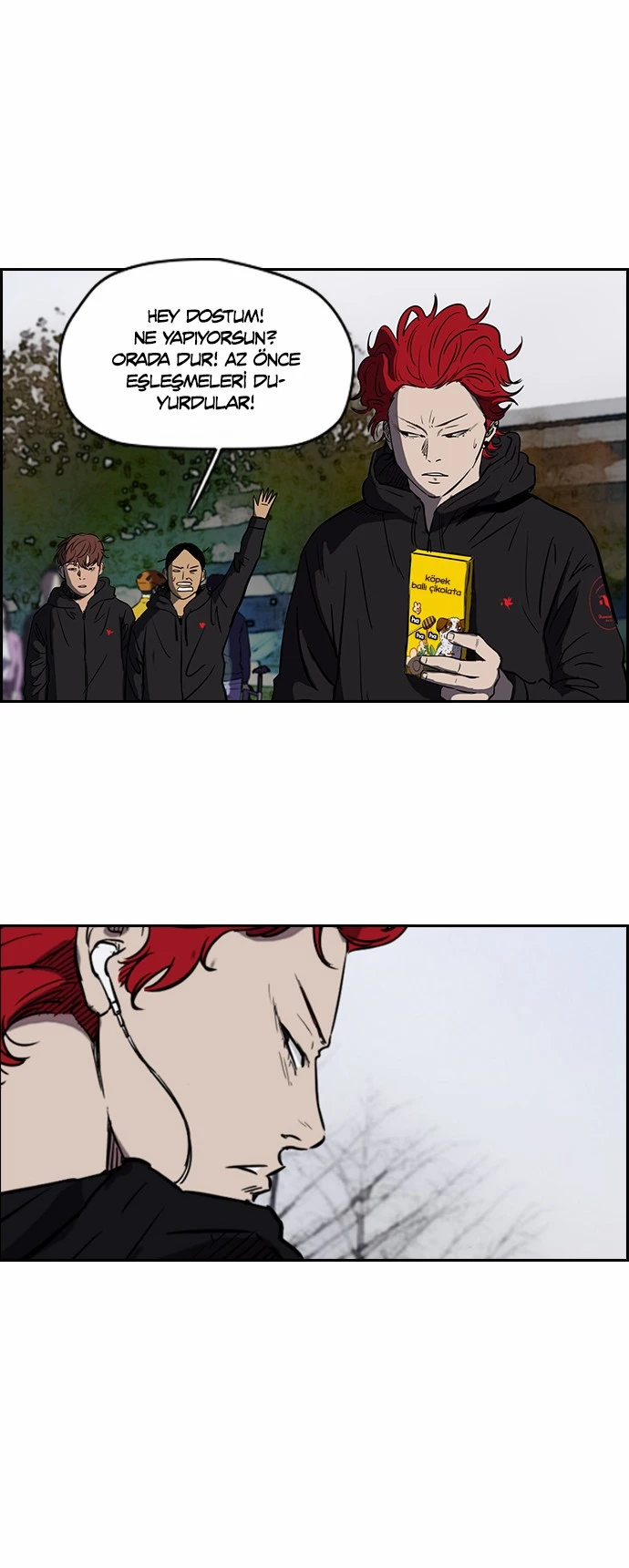 Read Wind Breaker TR Manga Online