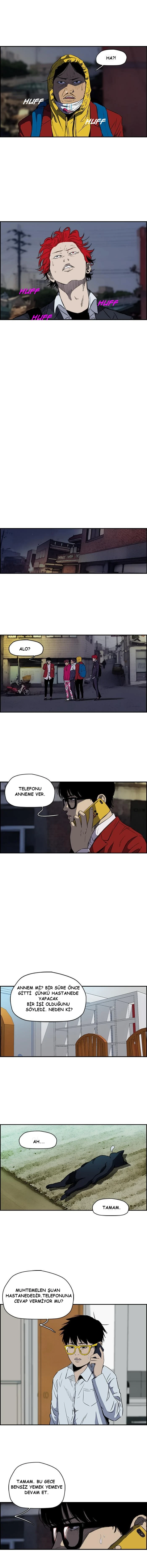 Read Wind Breaker TR Manga Online