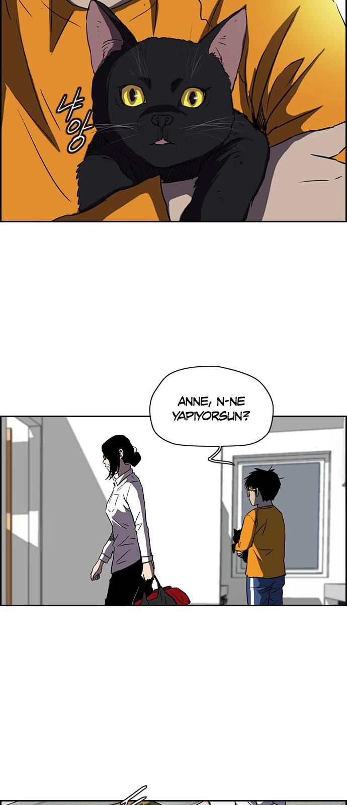 Read Wind Breaker TR Manga Online