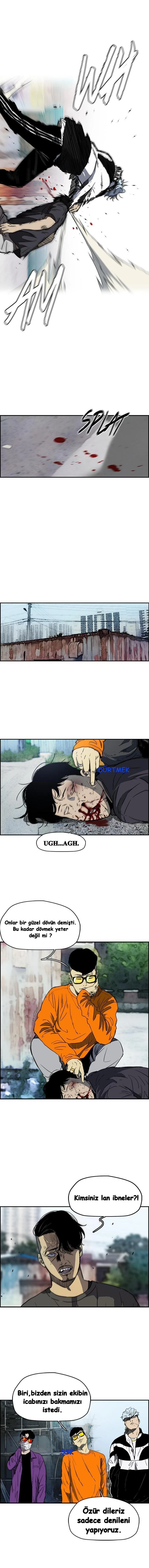 Read Wind Breaker TR Manga Online