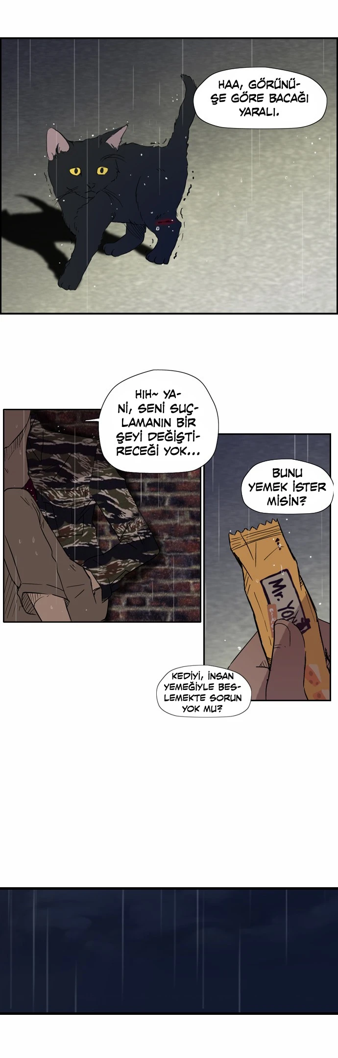 Read Wind Breaker TR Manga Online