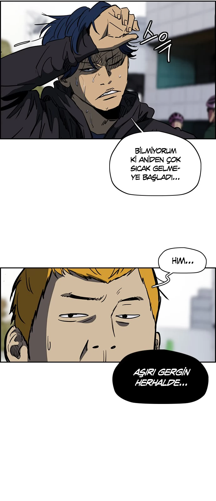 Read Wind Breaker TR Manga Online