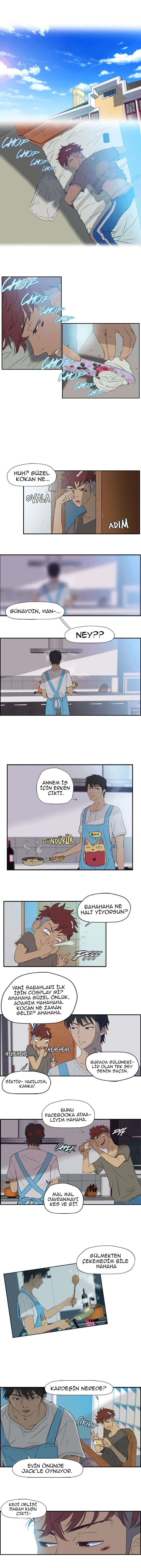 Read Wind Breaker TR Manga Online