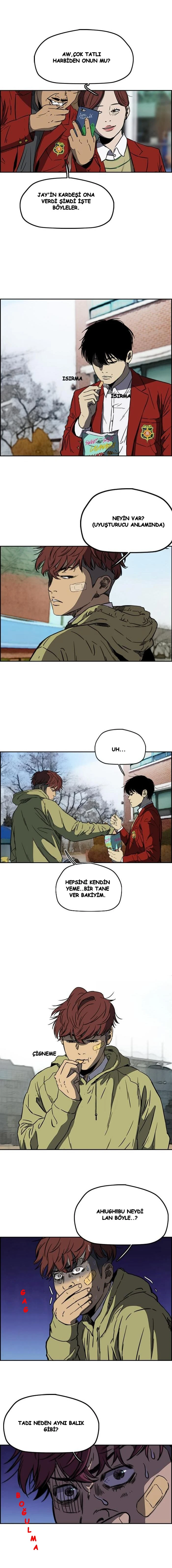 Read Wind Breaker TR Manga Online