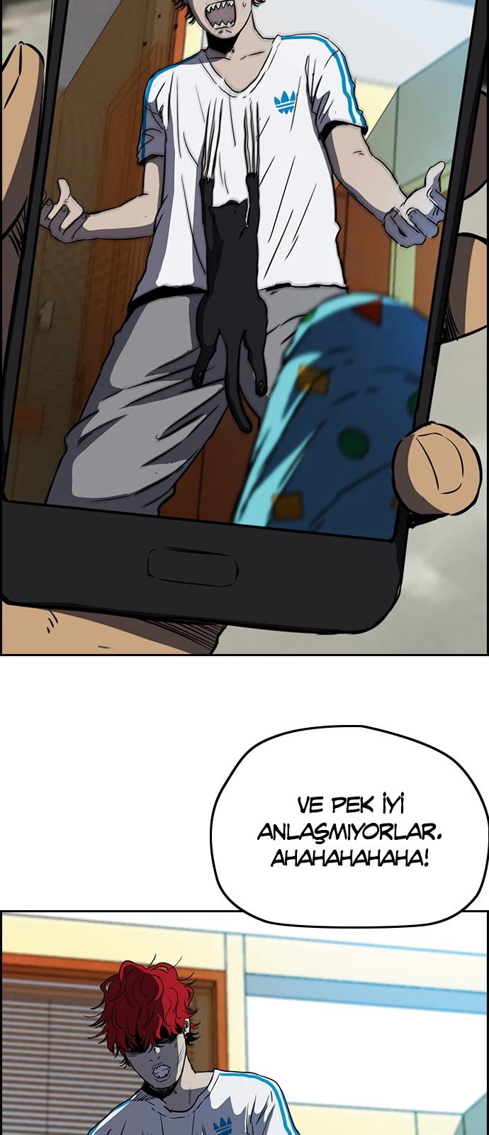 Read Wind Breaker TR Manga Online