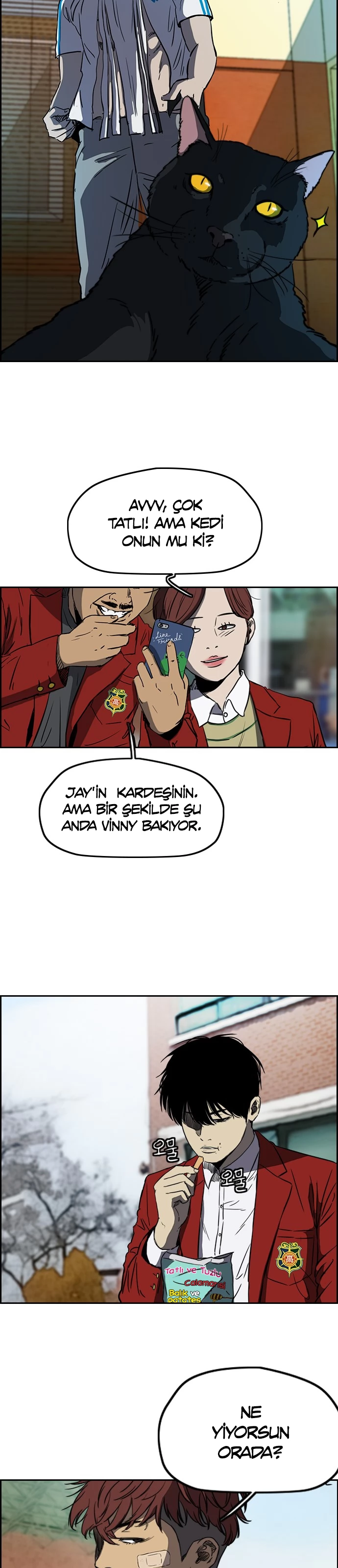 Read Wind Breaker TR Manga Online