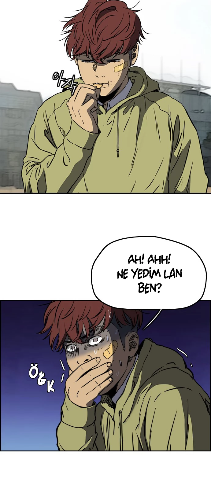Read Wind Breaker TR Manga Online