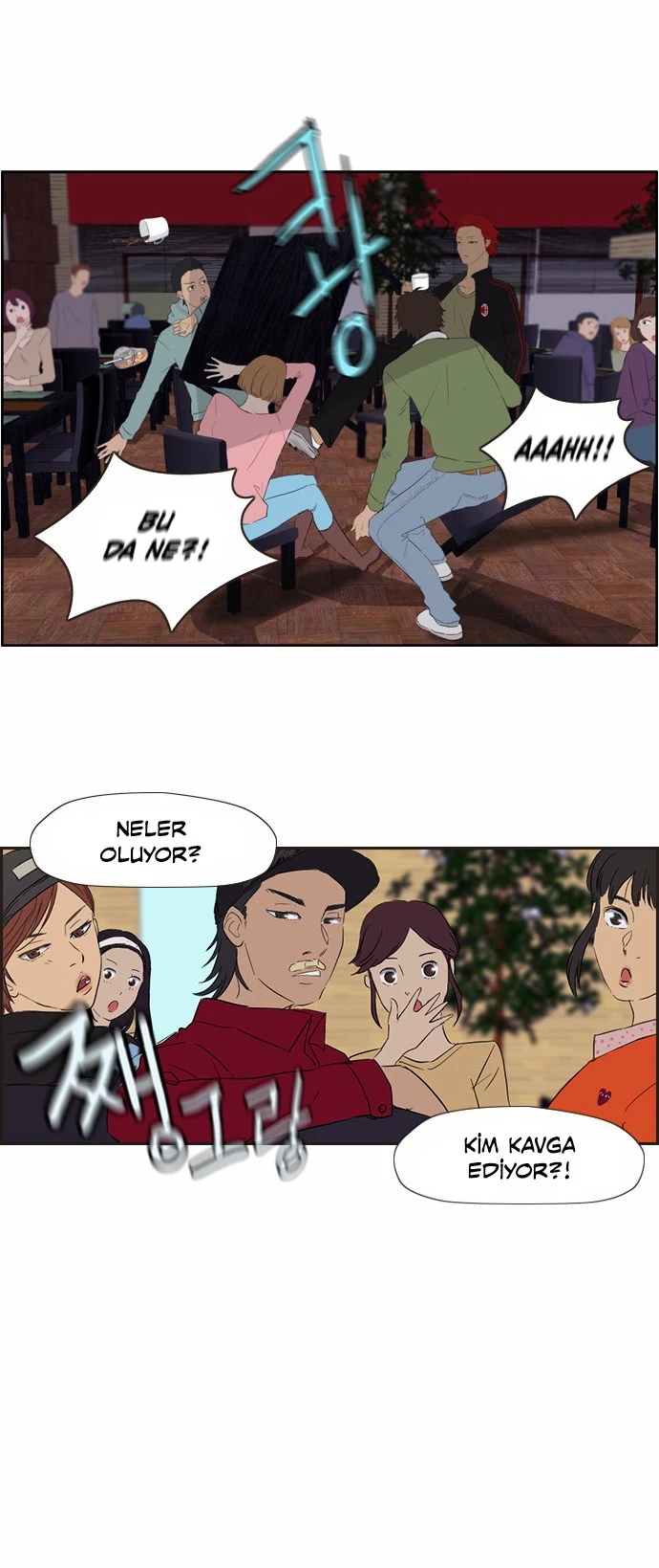 Read Wind Breaker TR Manga Online