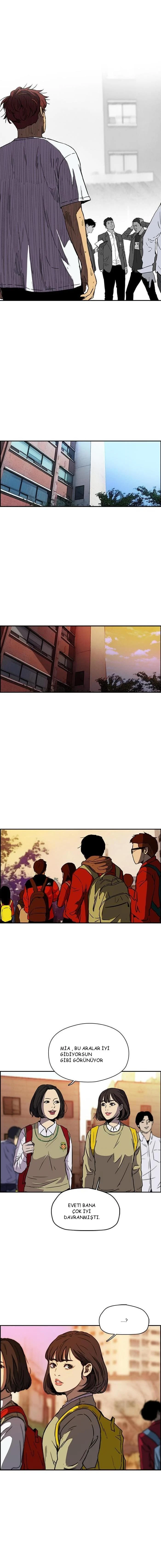 Read Wind Breaker TR Manga Online