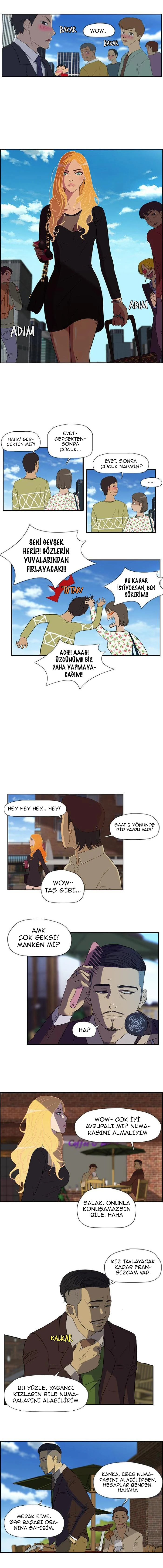 Read Wind Breaker TR Manga Online