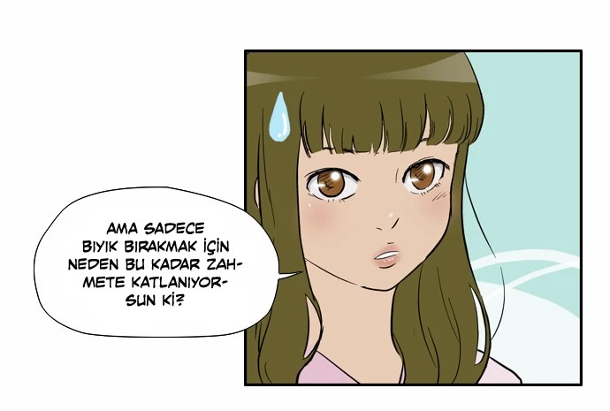 Read Wind Breaker TR Manga Online