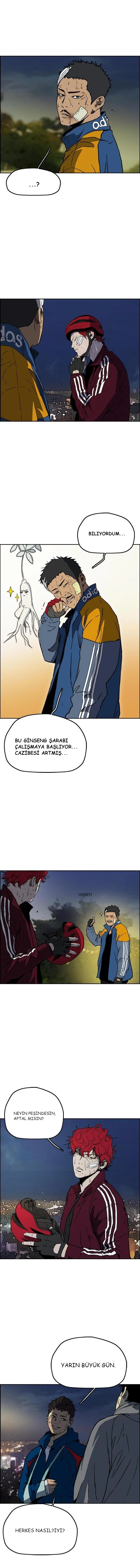 Read Wind Breaker TR Manga Online