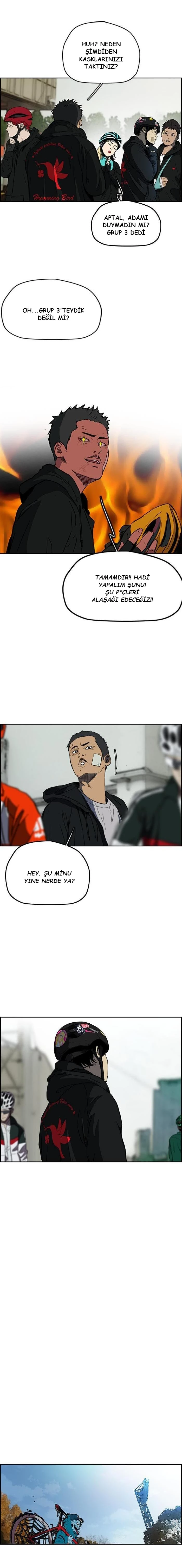 Read Wind Breaker TR Manga Online