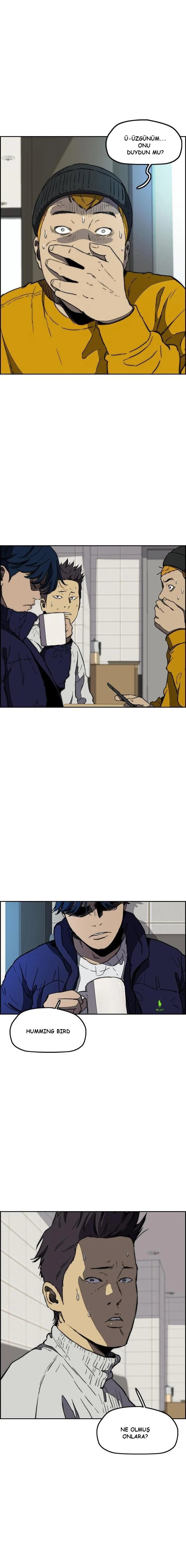 Read Wind Breaker TR Manga Online