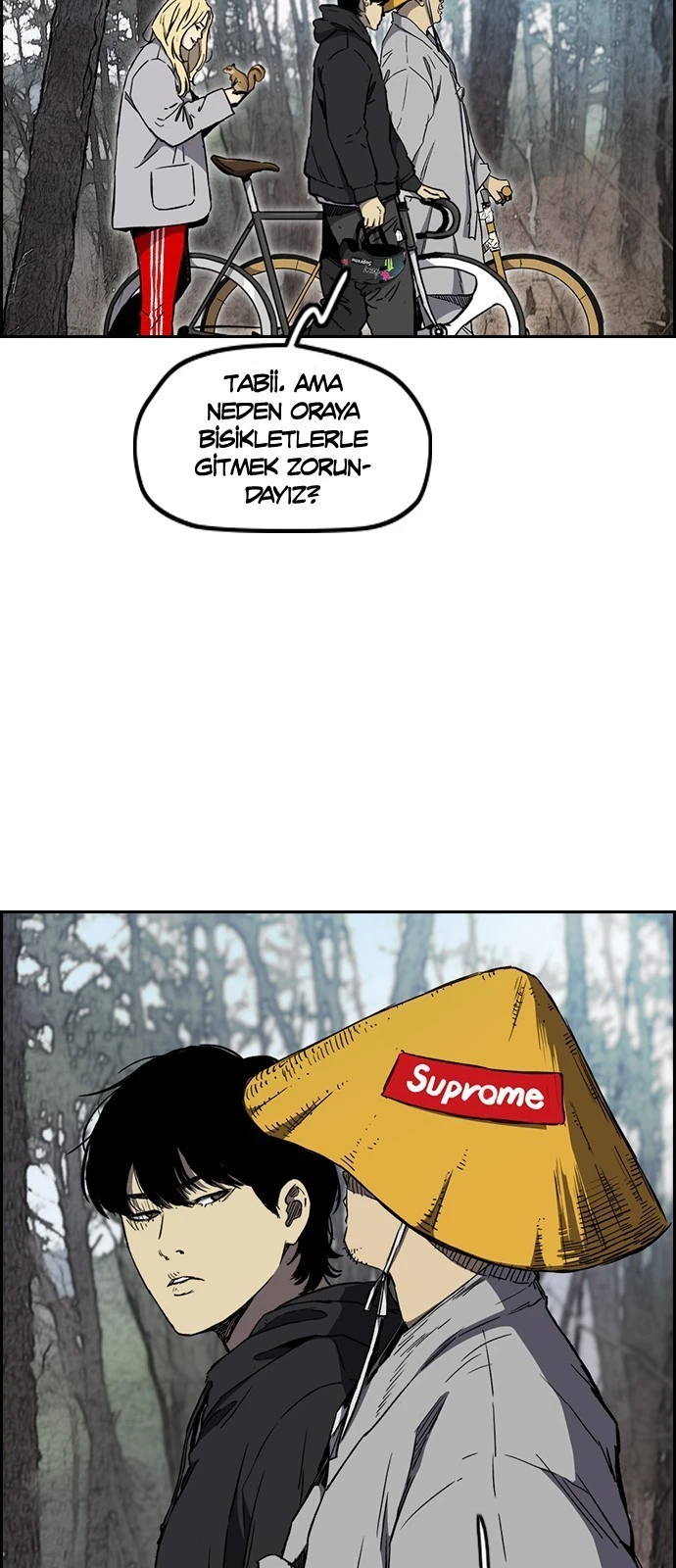 Read Wind Breaker TR Manga Online