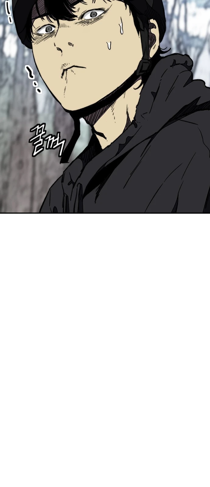 Read Wind Breaker TR Manga Online
