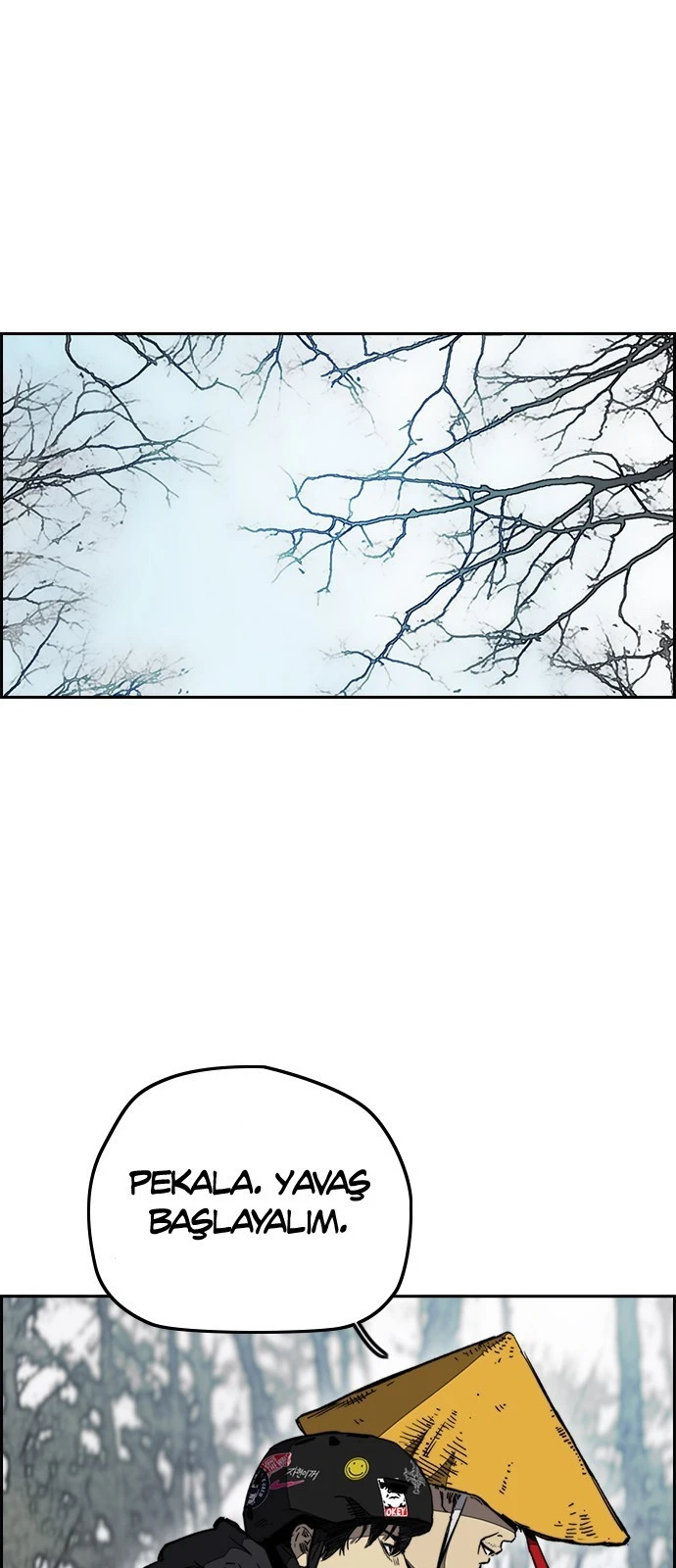 Read Wind Breaker TR Manga Online