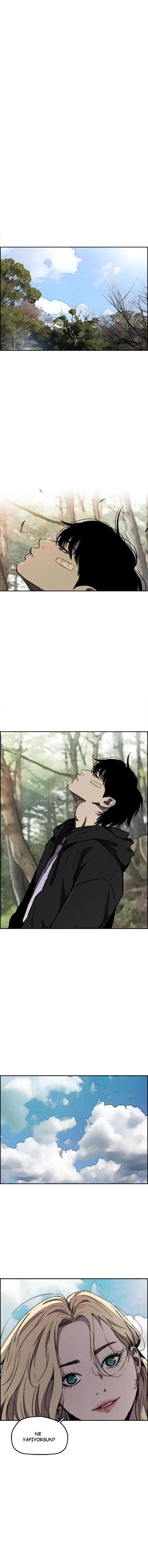 Read Wind Breaker TR Manga Online