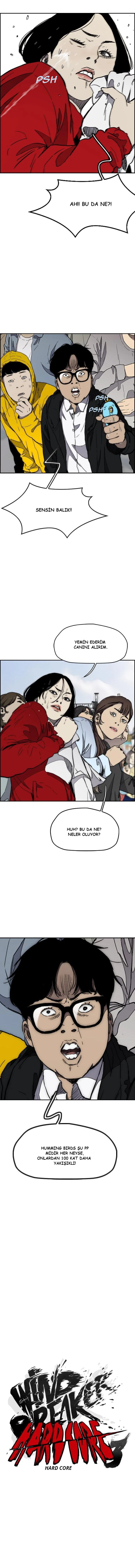 Read Wind Breaker TR Manga Online