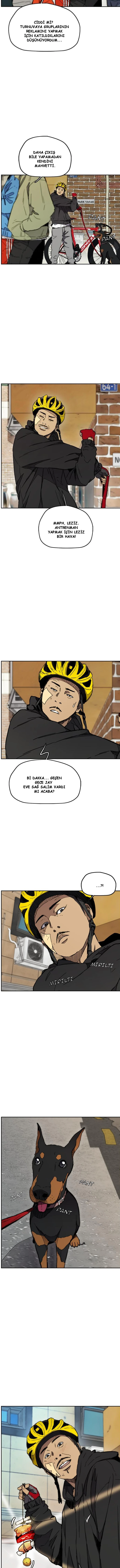Read Wind Breaker TR Manga Online