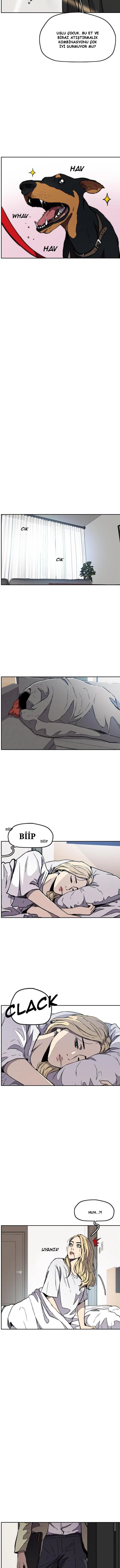 Read Wind Breaker TR Manga Online