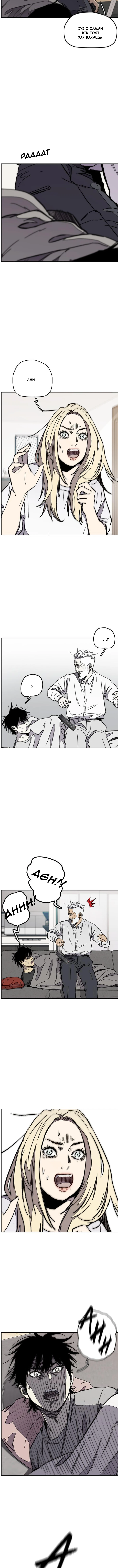 Read Wind Breaker TR Manga Online