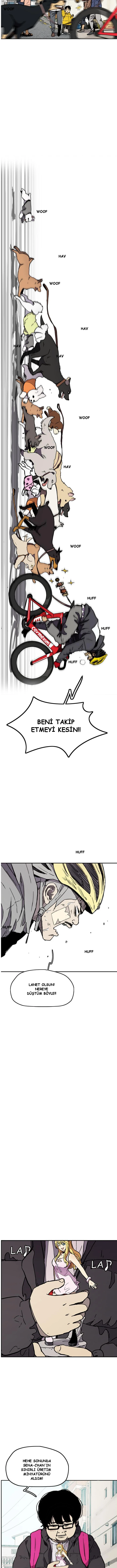 Read Wind Breaker TR Manga Online