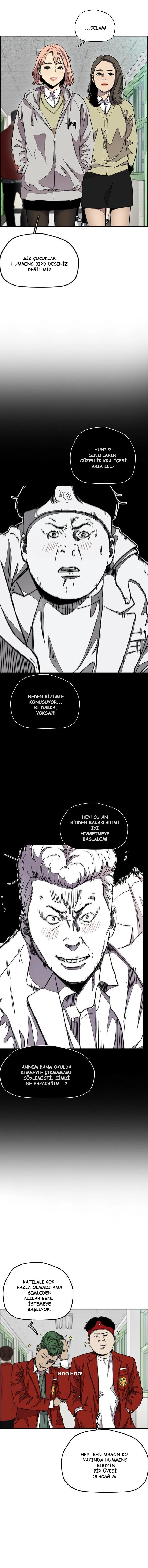 Read Wind Breaker TR Manga Online