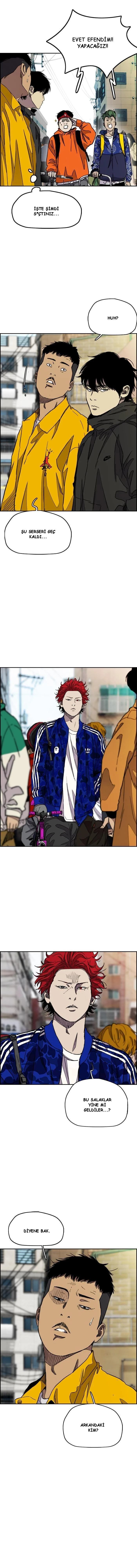 Read Wind Breaker TR Manga Online