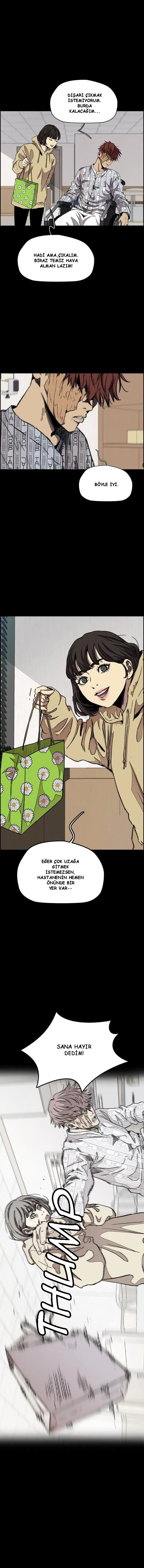 Read Wind Breaker TR Manga Online