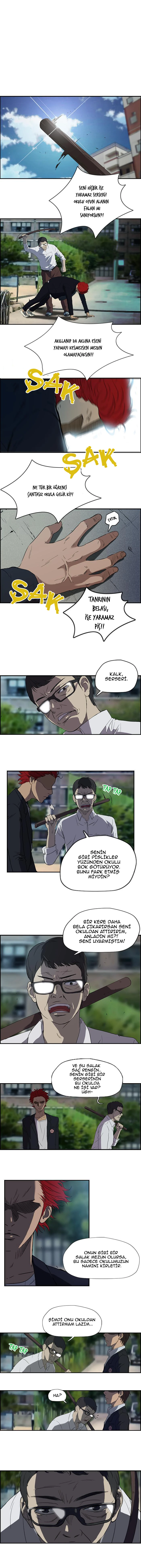 Read Wind Breaker TR Manga Online