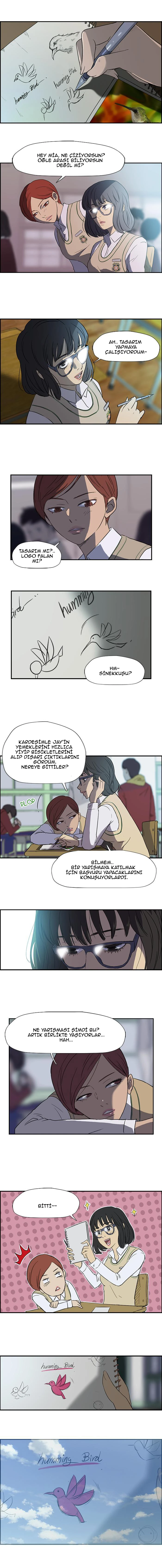 Read Wind Breaker TR Manga Online