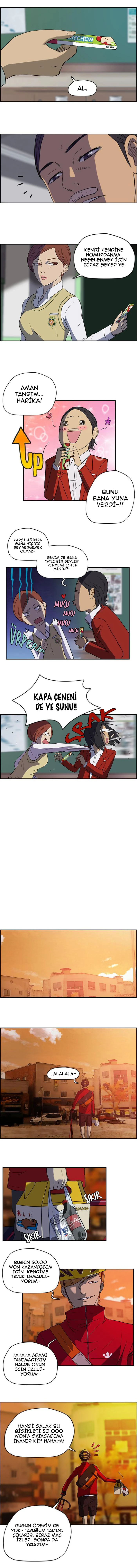 Read Wind Breaker TR Manga Online