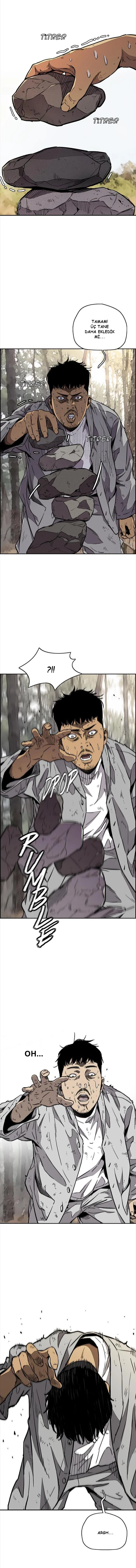 Read Wind Breaker TR Manga Online